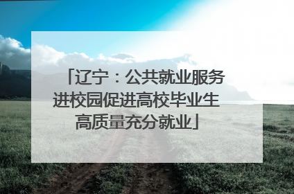 辽宁：公共就业服务进校园促进高校毕业生高质量充分就业