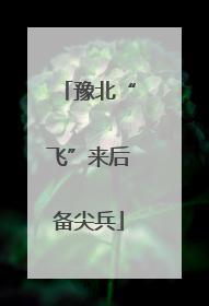 豫北“飞”来后备尖兵