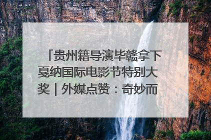 贵州籍导演毕赣拿下戛纳国际电影节特别大奖｜外媒点赞：奇妙而广阔的纯粹电影梦