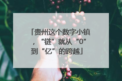 贵州这个数字小镇，“链”就从“0”到“亿”的跨越