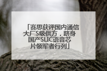 赛思获评国内通信大厂S级供方，跻身国产SLIC语音芯片领军者行列