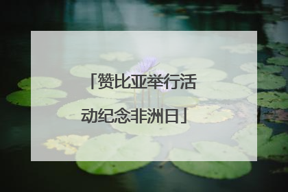 赞比亚举行活动纪念非洲日
