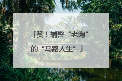 赞！辅警“老陶”的“马路人生”