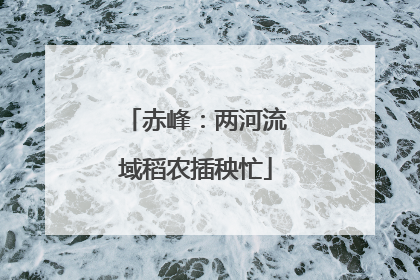 赤峰：两河流域稻农插秧忙