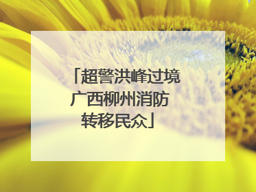 超警洪峰过境 广西柳州消防转移民众