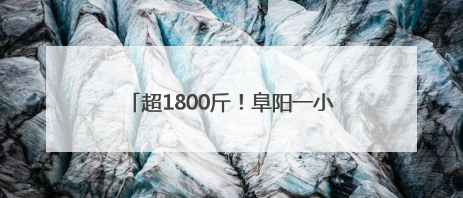超1800斤！阜阳一小麦示范田单产纪录再刷新