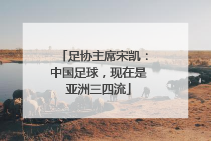 足协主席宋凯：中国足球，现在是亚洲三四流