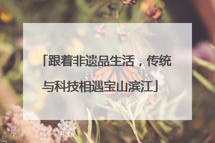 跟着非遗品生活，传统与科技相遇宝山滨江