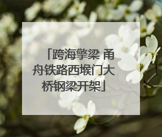 跨海擎梁 甬舟铁路西堠门大桥钢梁开架