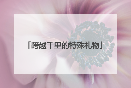 跨越千里的特殊礼物