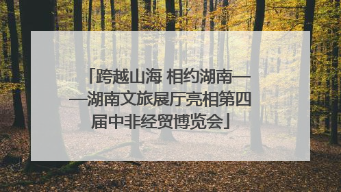 跨越山海 相约湖南——湖南文旅展厅亮相第四届中非经贸博览会
