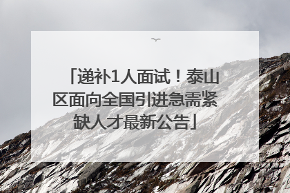 递补1人面试！泰山区面向全国引进急需紧缺人才最新公告