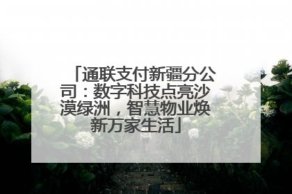 通联支付新疆分公司：数字科技点亮沙漠绿洲，智慧物业焕新万家生活