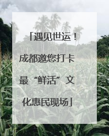 遇见世运！成都邀您打卡最“鲜活”文化惠民现场