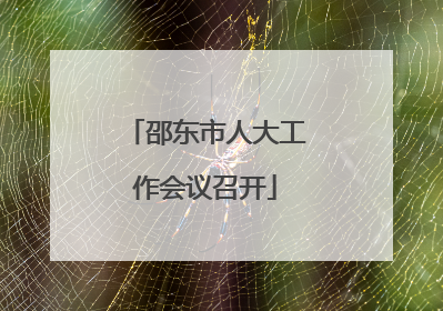 邵东市人大工作会议召开