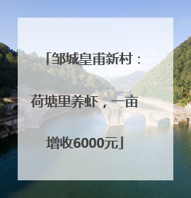 邹城皇甫新村：荷塘里养虾，一亩增收6000元