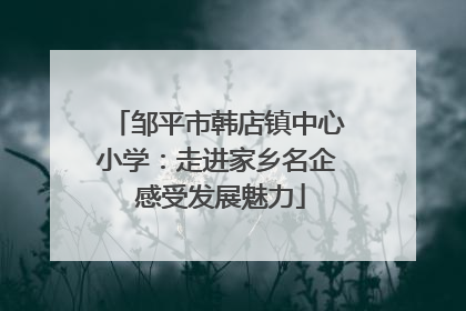 邹平市韩店镇中心小学：走进家乡名企 感受发展魅力