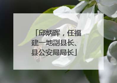 邱炳晖，任福建一地副县长、县公安局局长