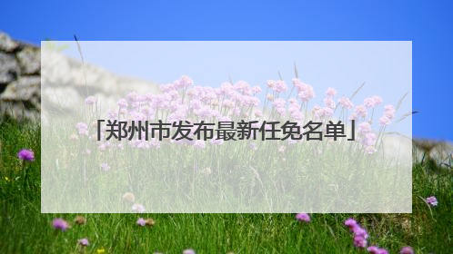 郑州市发布最新任免名单