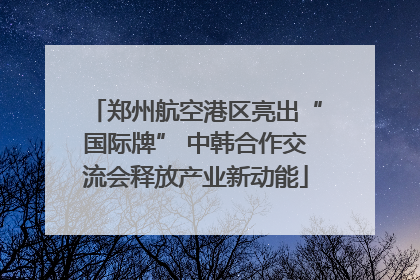 郑州航空港区亮出“国际牌” 中韩合作交流会释放产业新动能
