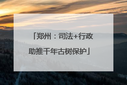 郑州：司法+行政助推千年古树保护