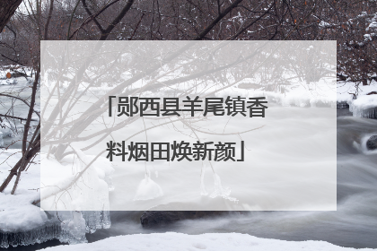 郧西县羊尾镇香料烟田焕新颜