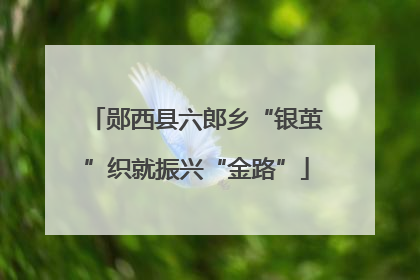 郧西县六郎乡“银茧”织就振兴“金路”
