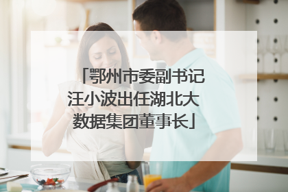 鄂州市委副书记汪小波出任湖北大数据集团董事长