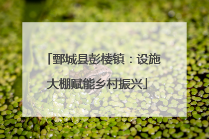 鄄城县彭楼镇：设施大棚赋能乡村振兴