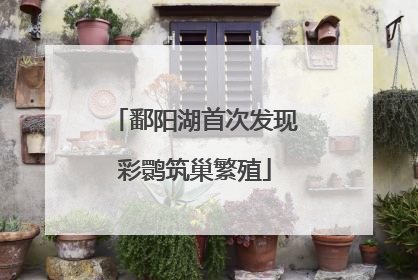 鄱阳湖首次发现彩鹮筑巢繁殖