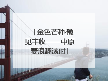 金色芒种·豫见丰收——中原麦浪翻滚时