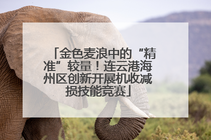 金色麦浪中的“精准”较量！连云港海州区创新开展机收减损技能竞赛