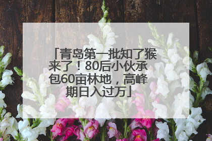 青岛第一批知了猴来了！80后小伙承包60亩林地，高峰期日入过万