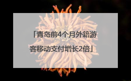 青岛前4个月外籍游客移动支付增长2倍