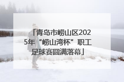 青岛市崂山区2025年“崂山湾杯”职工足球赛圆满落幕