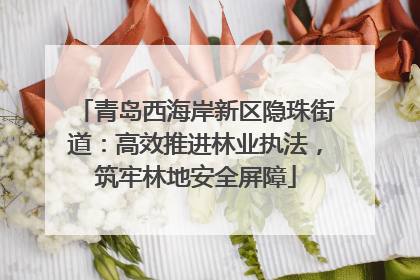 青岛西海岸新区隐珠街道：高效推进林业执法，筑牢林地安全屏障