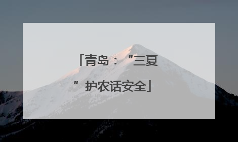 青岛：“三夏”护农话安全