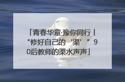 青春华章·豫你同行丨“修好自己的‘渠’”90后教师的渠水声声