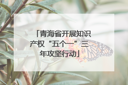 青海省开展知识产权“五个一”三年攻坚行动