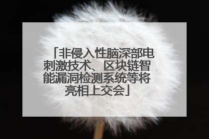 非侵入性脑深部电刺激技术、区块链智能漏洞检测系统等将亮相上交会
