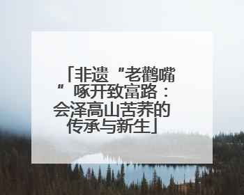 非遗“老鹳嘴”啄开致富路：会泽高山苦荞的传承与新生