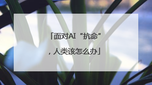 面对AI“抗命”，人类该怎么办