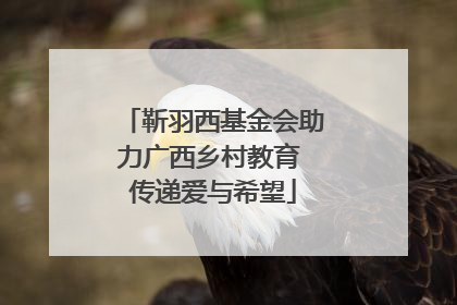靳羽西基金会助力广西乡村教育 传递爱与希望