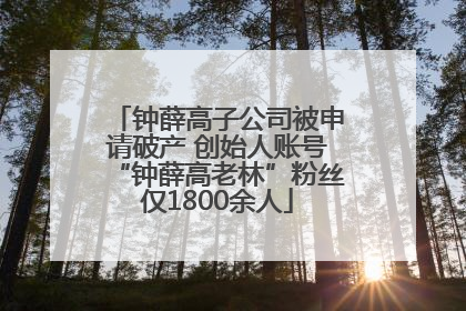 钟薛高子公司被申请破产 创始人账号“钟薛高老林”粉丝仅1800余人