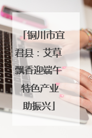 铜川市宜君县：艾草飘香迎端午 特色产业助振兴