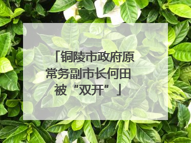 铜陵市政府原常务副市长何田被“双开”