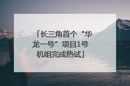 长三角首个“华龙一号”项目1号机组完成热试