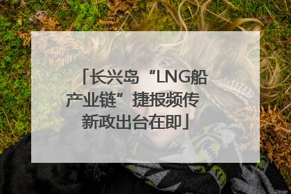 长兴岛“LNG船产业链”捷报频传 新政出台在即