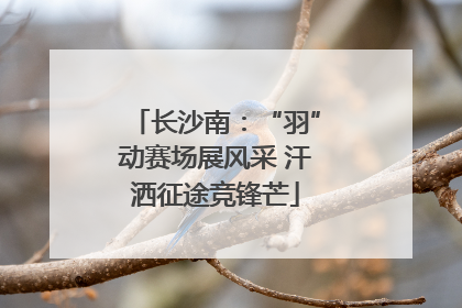 长沙南：“羽”动赛场展风采 汗洒征途竞锋芒