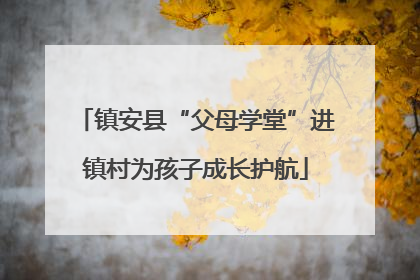 镇安县“父母学堂”进镇村为孩子成长护航